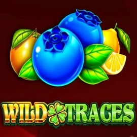 Wild Traces logo by Amusnet Interactive at Cowboy Spin Casino